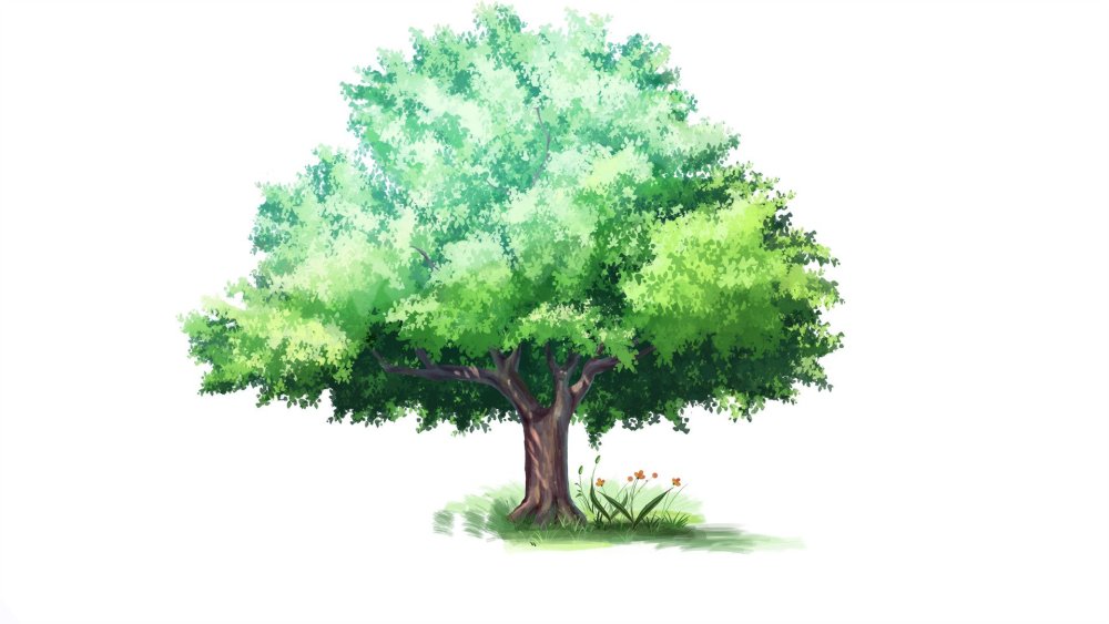 Дерево рисунок