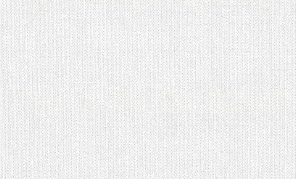 Светло-серый фон однотонный