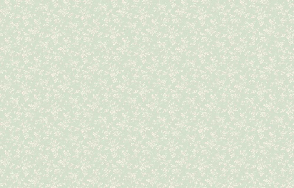 Одноцветный фон белый