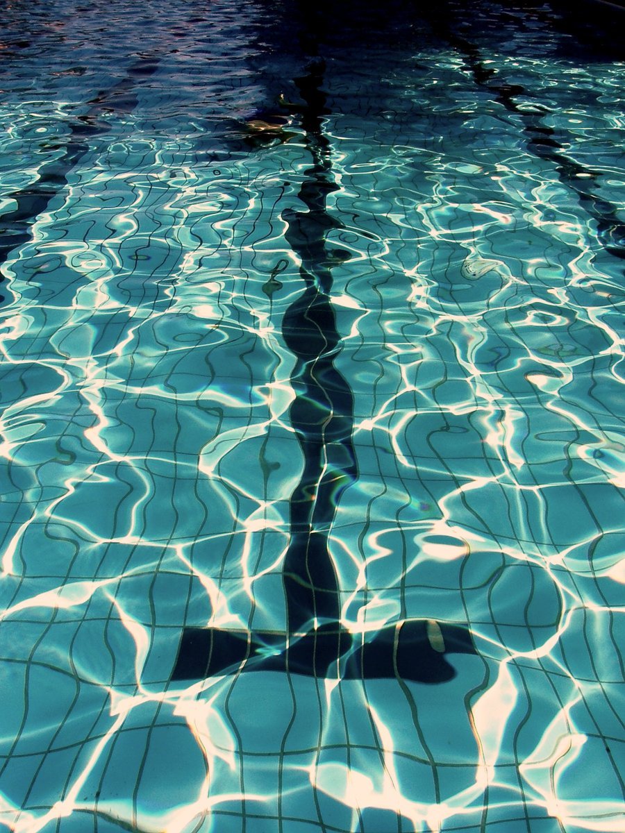 Бассейн вид сверху