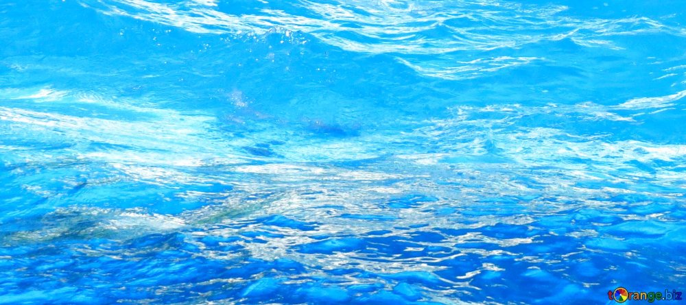 Бассейн Future Pool Swim