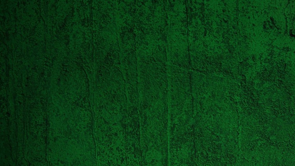 Темно зеленый бархат