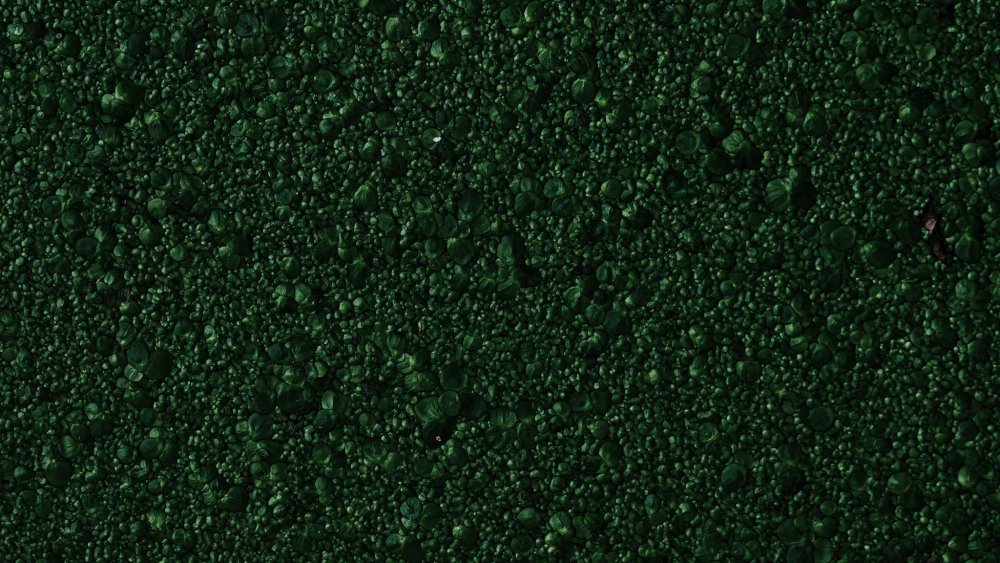 Старая краска