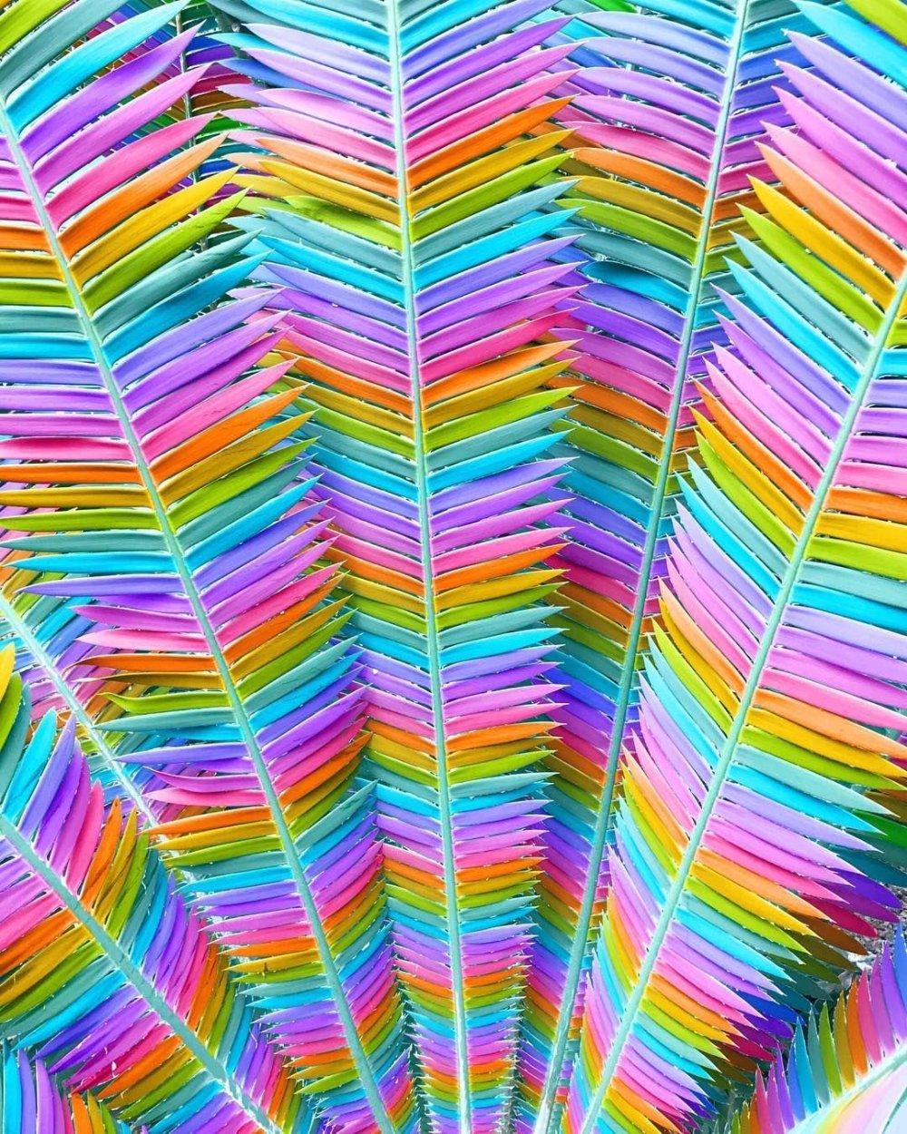 Радуга в руках