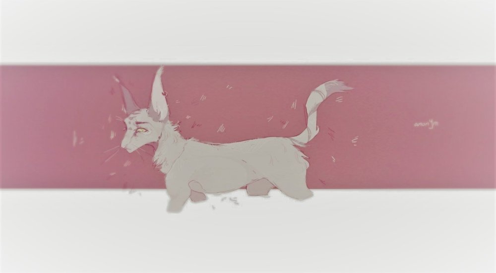 Заставка офлайн для стрима