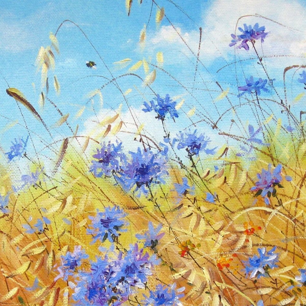 Мак полевой Василек