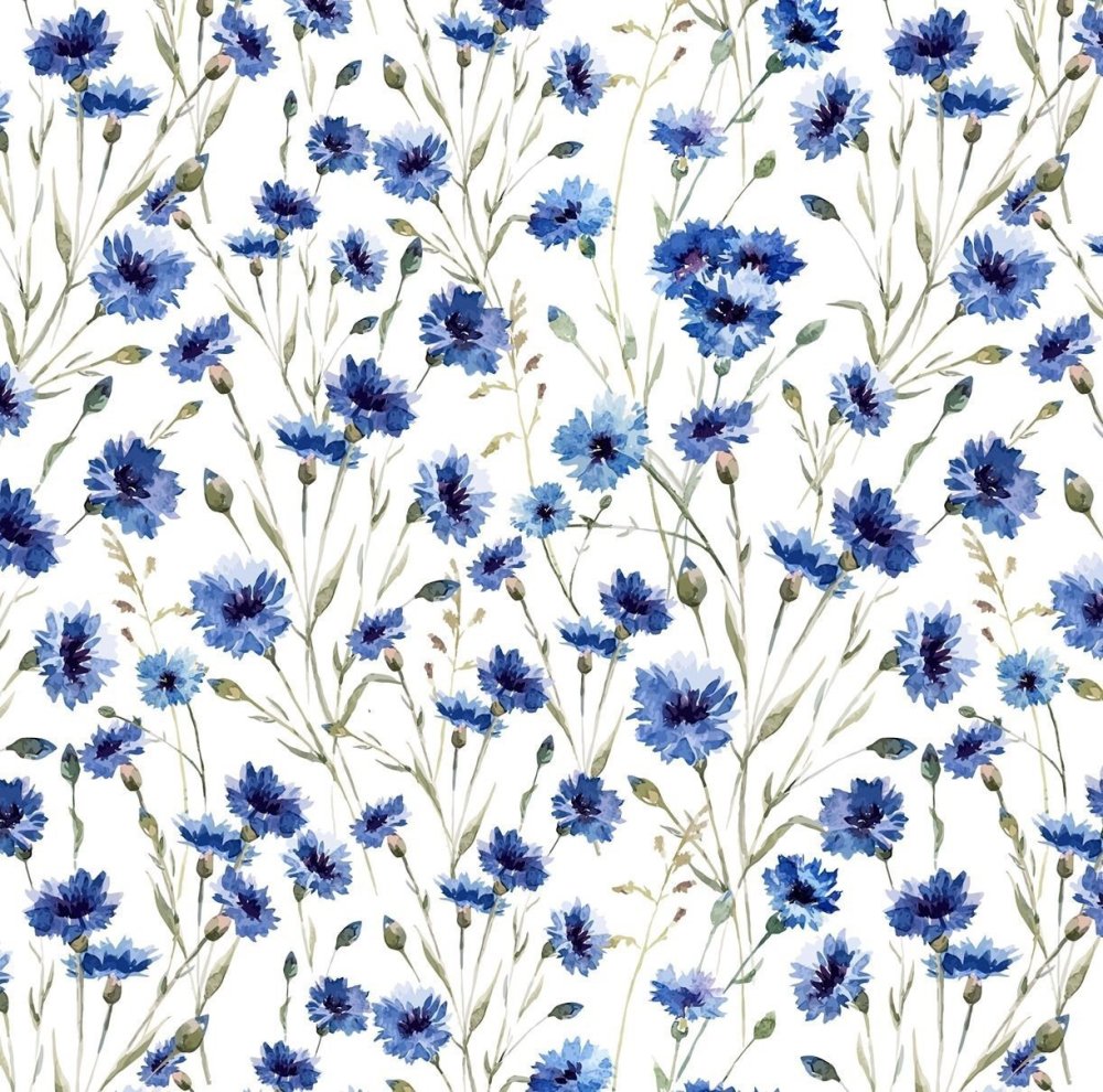 Фон Васильковое поле