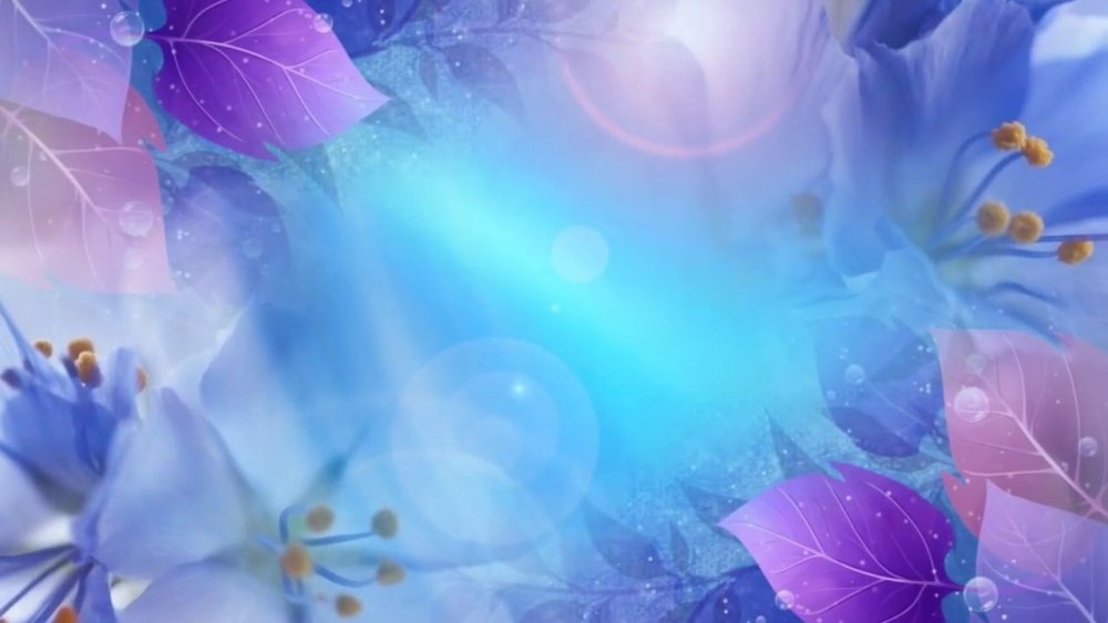 Красивый фон цветы