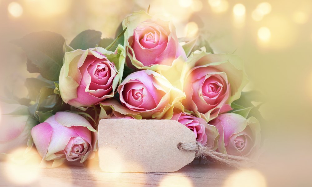 Фон для поздравления