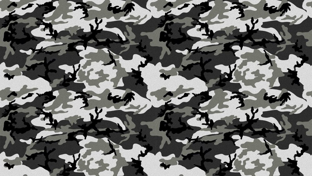 Необычный камуфляж