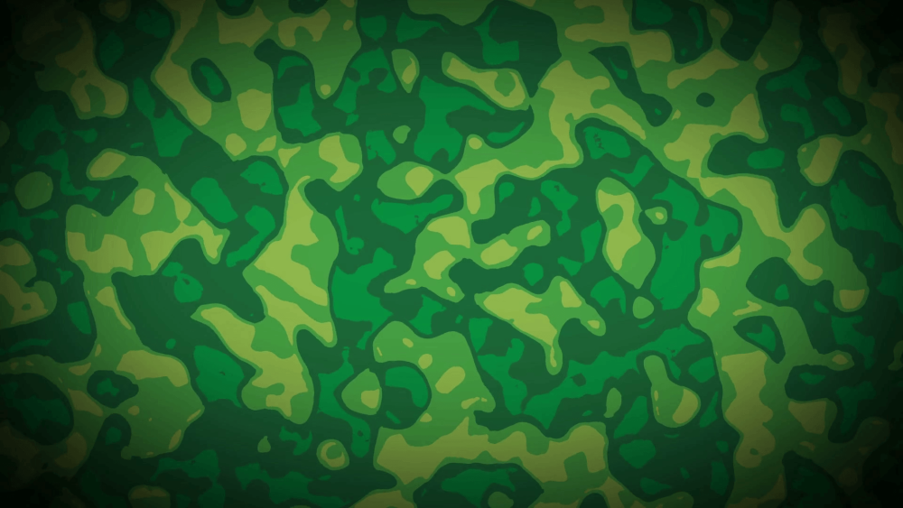 Военная расцветка