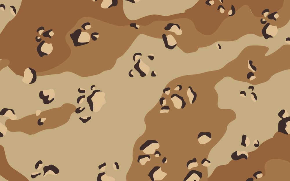 Камуфляж ССО РФ