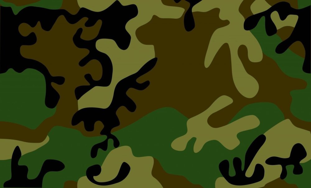 Цифровой российский камуфляж. «Цифровая Флора»