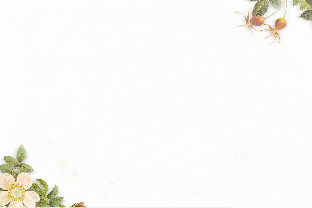 Шаблоны для презентаций POWERPOINT Минимализм бежевый