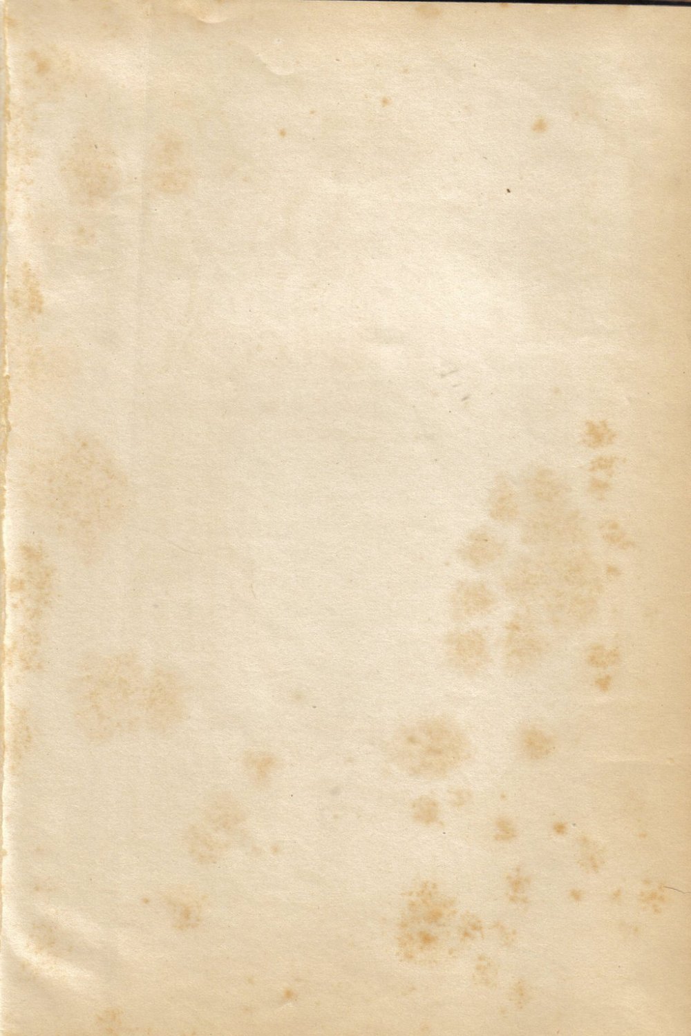 Фон для Читалки