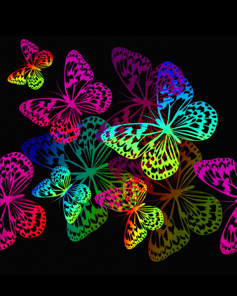 Красивые фиолетовые бабочки