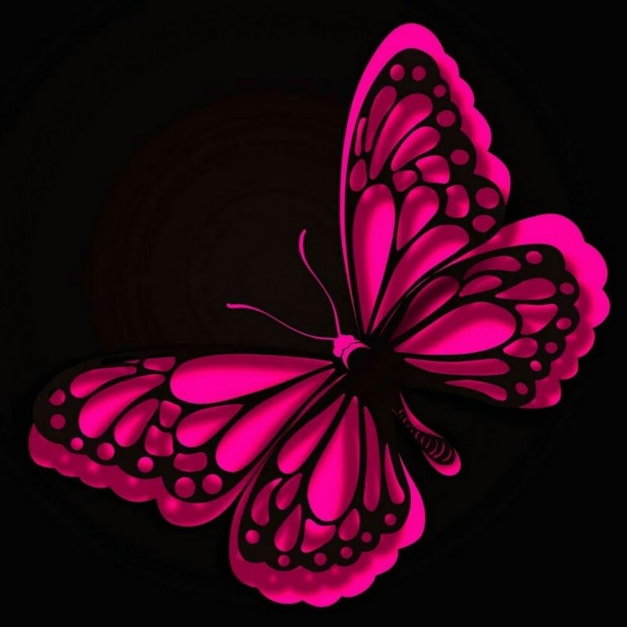 Бабочки на черном фоне