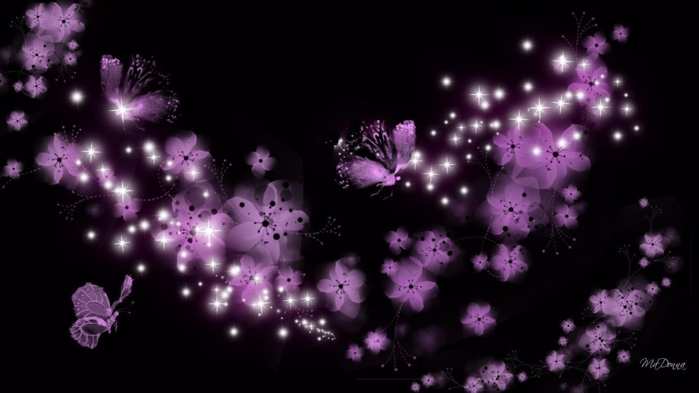 Бабочки на черном фоне