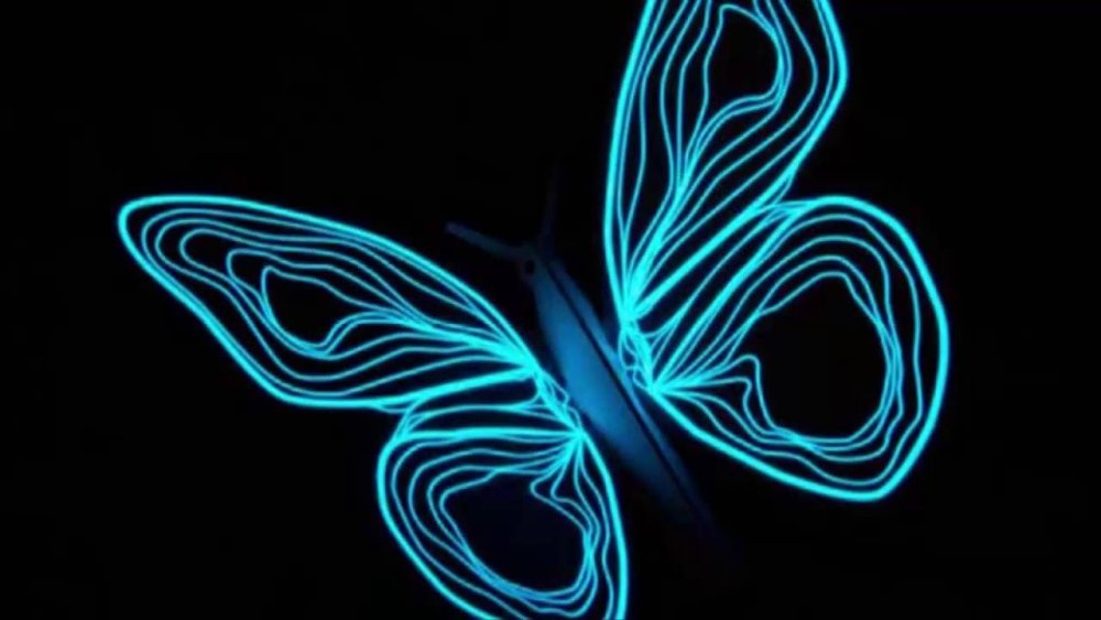 Бабочки на черном фоне