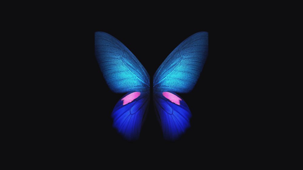 Цветы на черном фоне