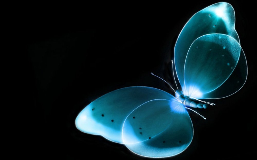 Бабочка на темном фоне