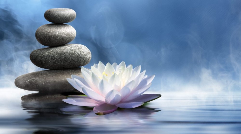 Медитация цветок лотоса