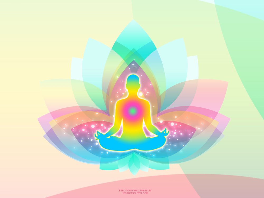 Лотос цветок снизу