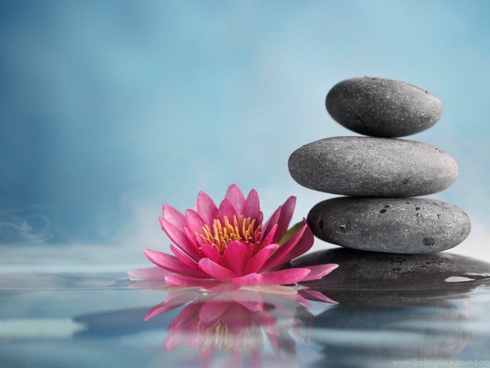 Цветы для медитации