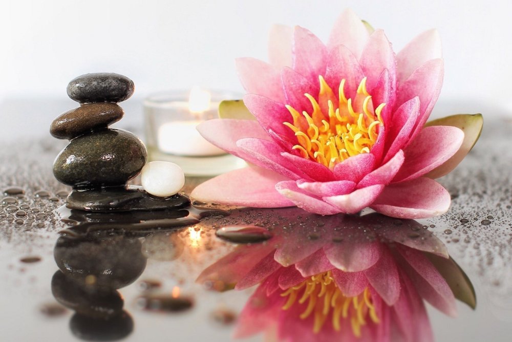 Лотос графический