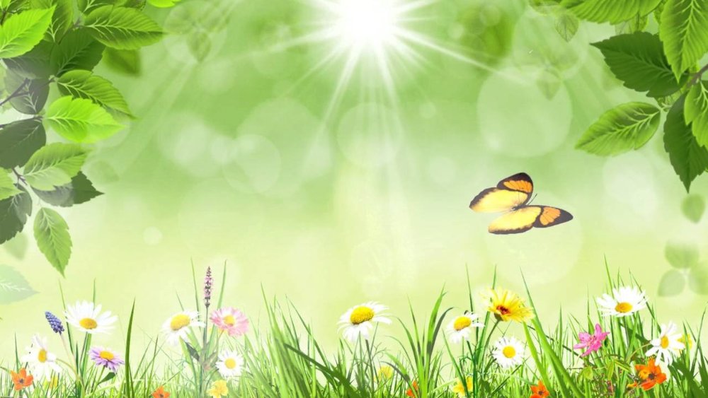 Фон для текста природа