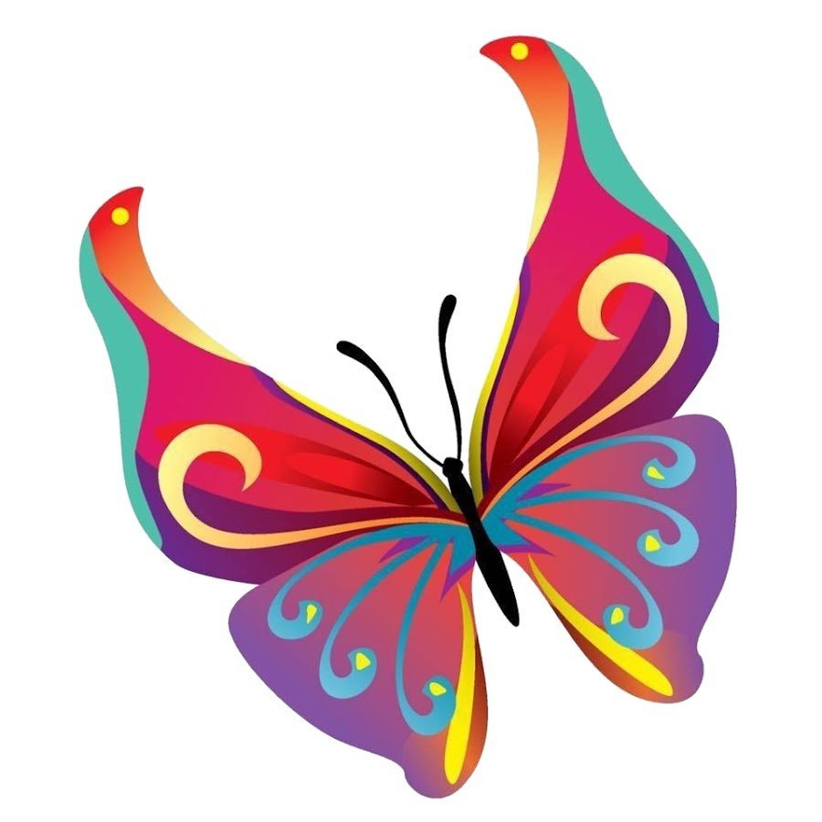 Бабочка вектор