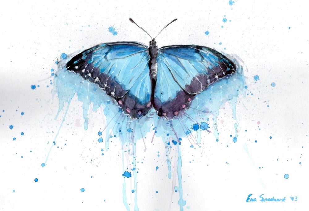 Бабочки картинки