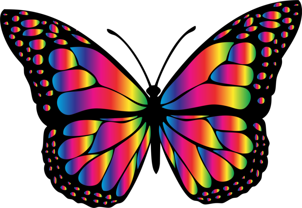 Красивая бабочка рисунок