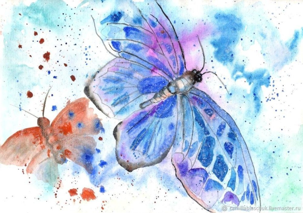 Бабачкина прозрачном фоне