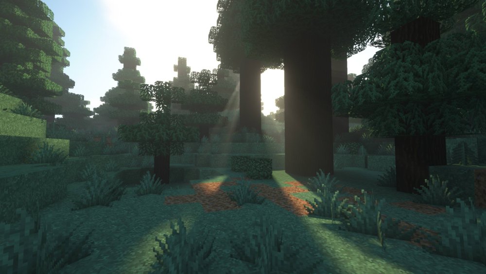 Seus шейдеры 1.12