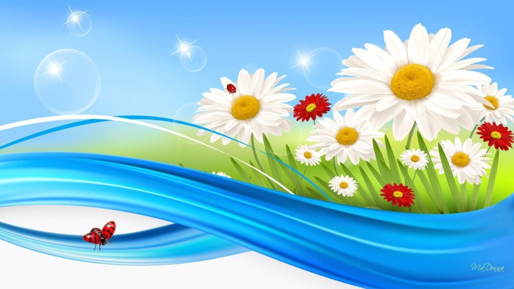 Фон ромашки