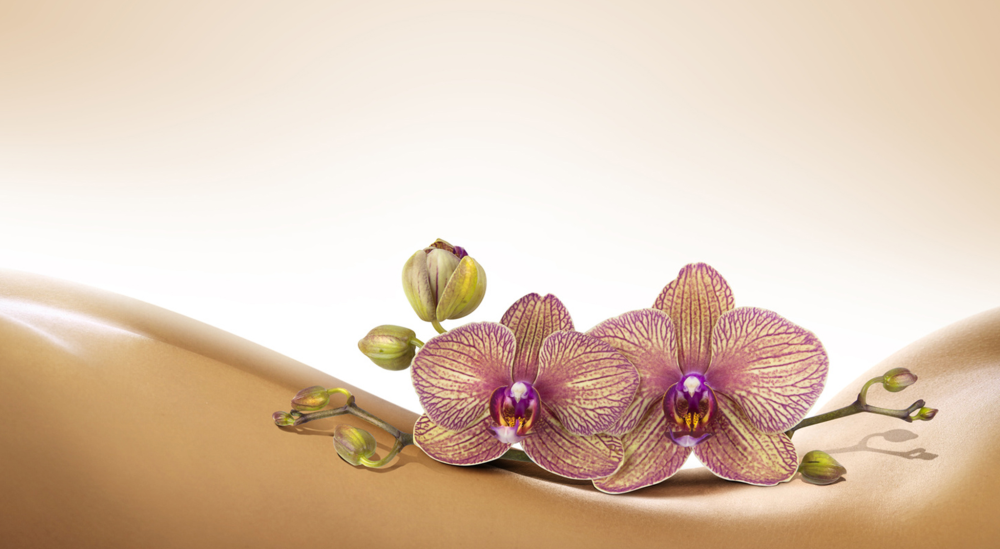 Креативные фоны для визитки массажиста