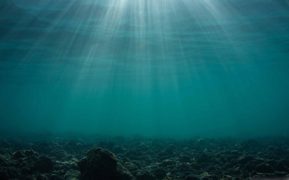 Морская бездна