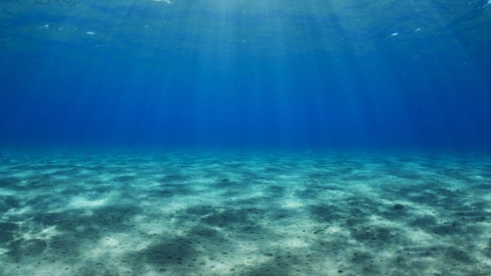 Морское дно