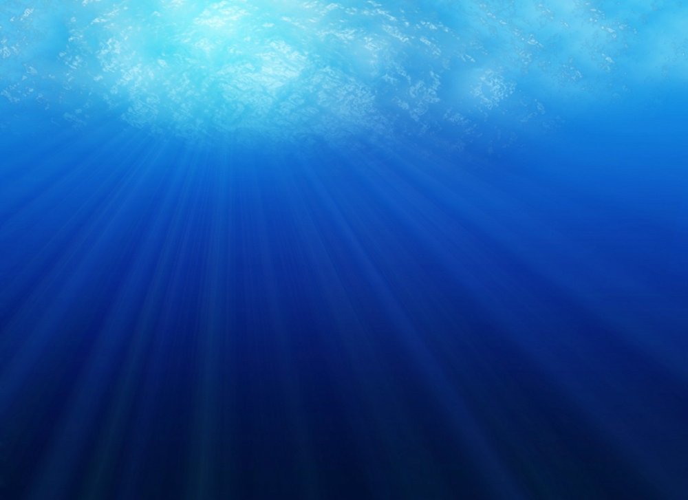 Темные глубины океана