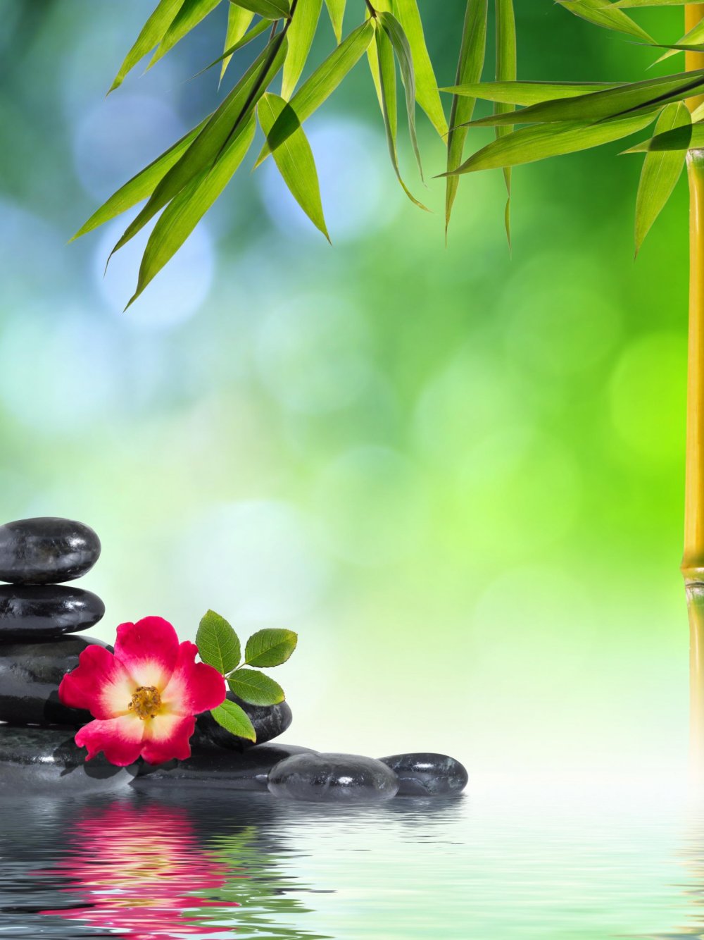 Спа массаж Эстетика