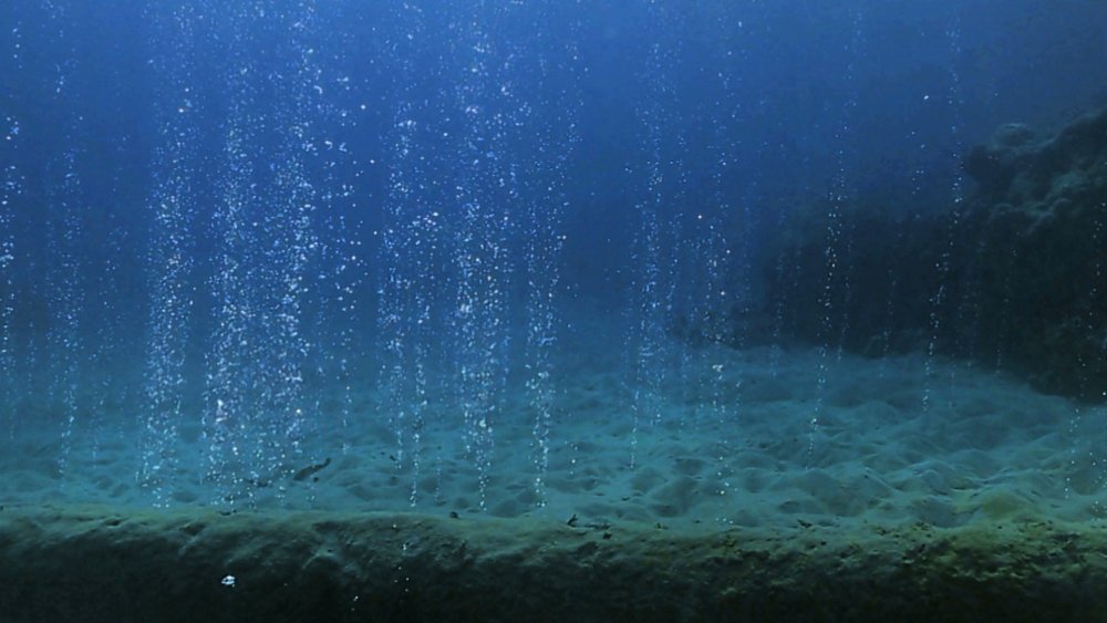 Подводные пейзажи