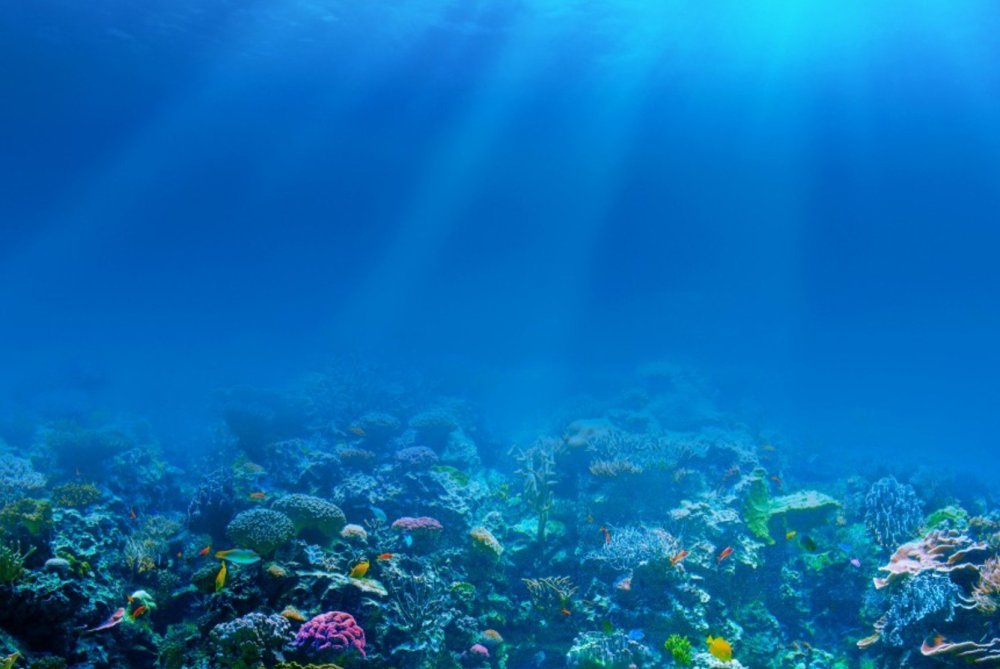 Океан под водой