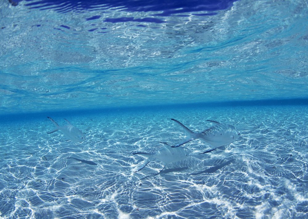 Океаны. Глубина