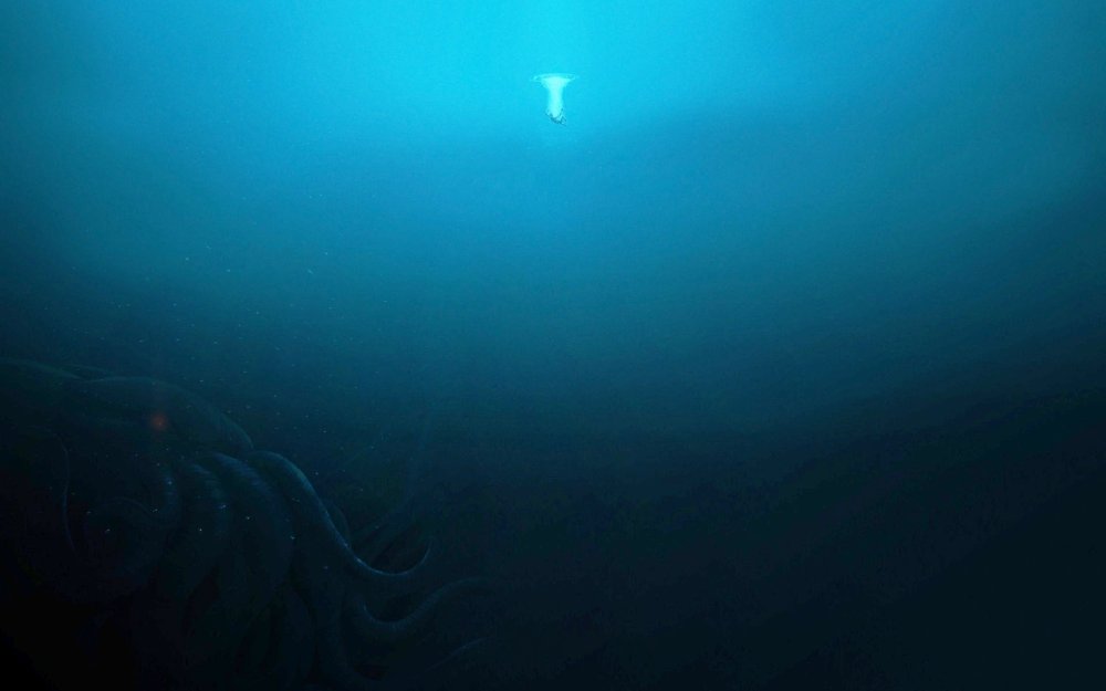 Подводный пейзаж