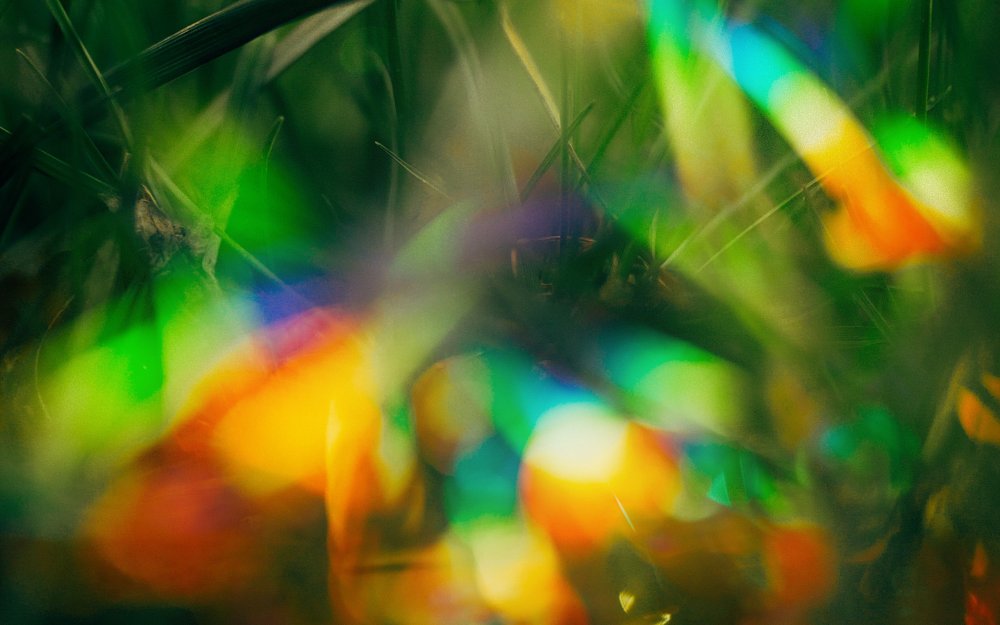 Макро предметы с эффектом боке