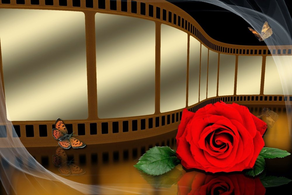 Кинопленка с цветами