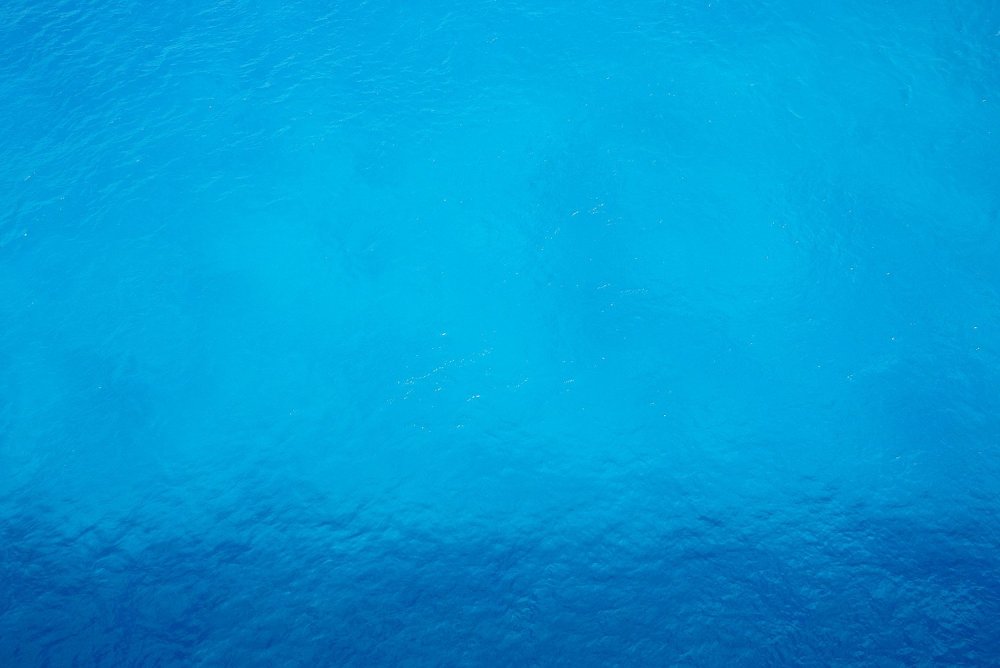 Морской цвет