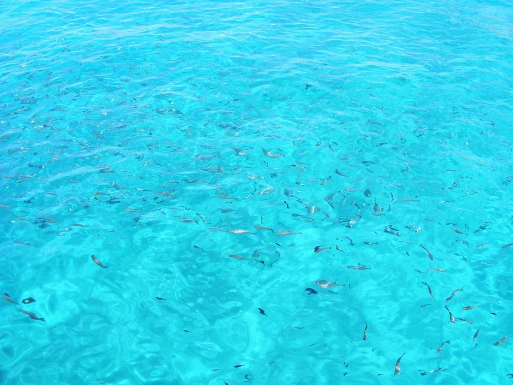 Бирюзовая волна