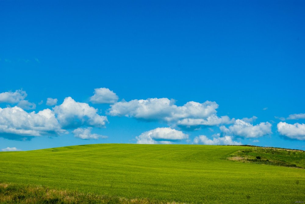 Зеленые холмы безмятежность